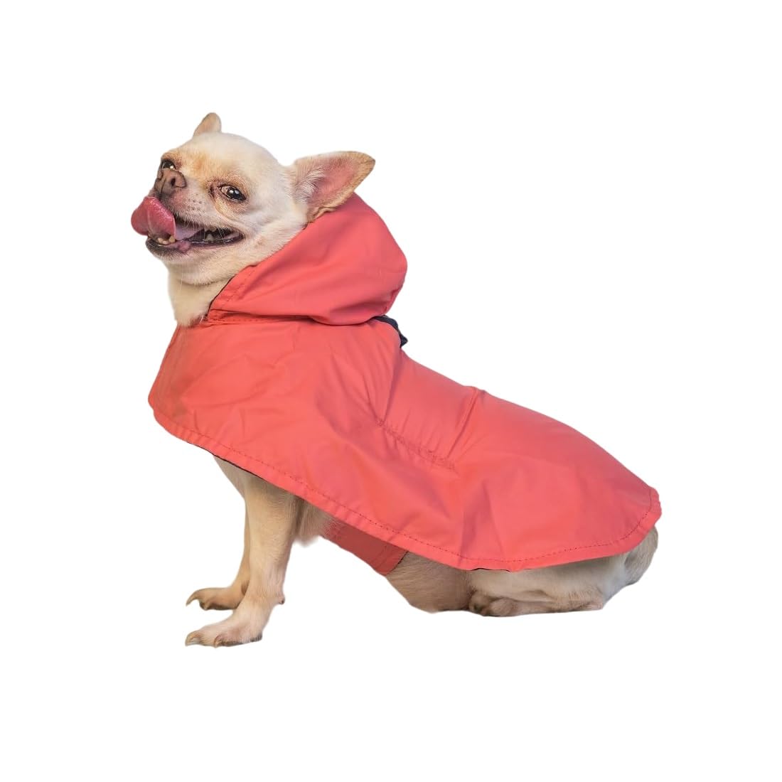 Pet Set Go Cape Style Dog Raincoat with Hoodie | Double Layered | Water Resistant | Polyester | for Small, Medium, Large Breed Dogs | Adjustable Waist and Neck | Red (2XL) (B0CWCQNXFG) Amazon Price History, Amazon Price Tracker