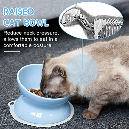 Super Design Ceramics Raised Cat Bowl & Silicone Mat Set, Slanted Cat Dish For Food, Stress Free Angled Elevated Cat Bowl, Less Regurgitating And Vomiting, Can Place Can #TOP2