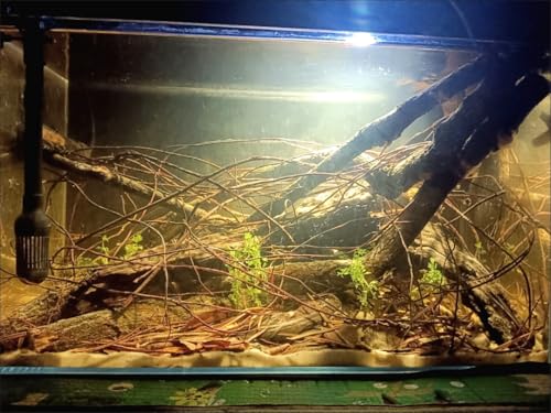 Image of YZHZOM 160g Aquarium Driftwood Roots - Bushy Tank Wood for aquascaping -Perfect for Fry, Shrimp or Terrarium,Natural Wood Roots for Aquarium aquascaping