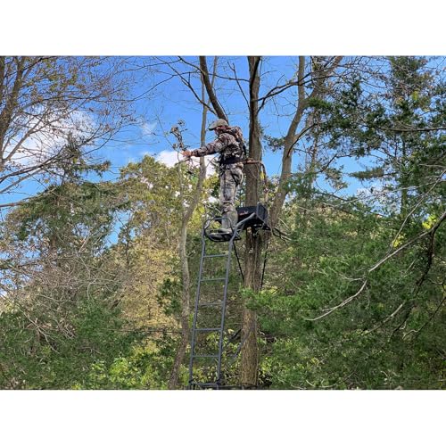 Image of Big Game Warrior Elite Ultra-Wide Ladder Whitetail Deer Elk Mule Above