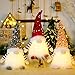 3 Stück ​weihnachtswichtel Weihnachtsdekoration mit LED, Weihnachtszwerge Plüsch-Dekorationen Wichtel Figuren Stehend Weihnachten Deko mit Beleuchtung, Handmade Plüschfiguren (30cmx10cmx10cm)