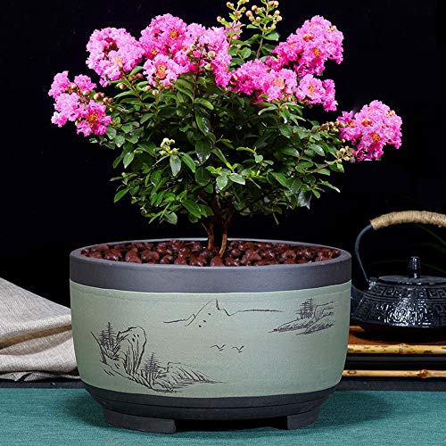 Pot de fleur en sable violet avec ventilation pour la santé des orchidées