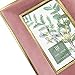 Isaac Jacobs 4x6 Pink Velvet Picture Frame with Metallic Gold Double Border, Photo Frame, Horizontal & Vertical, Made for Tabletop & Wall Display, for Home and Office (4x6, Pink with Gold)