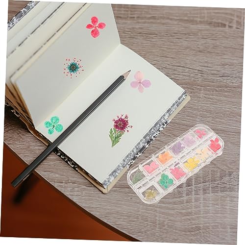 Kit de Flores Secas para Resina Zerodeko 12 Cavidades miniatura 6