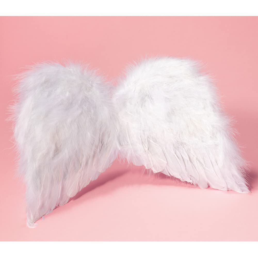 Amazon | 幸せを運ぶ 天使の羽Sサイズ（幼児～小学校低学年向け）翼