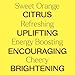 Plant Therapy Sweet Orange Organic Essential Oil 100 mL (3.3 oz) 100% Pure, USDA Certified Organic, Undiluted, Natural Aromatherapy, Fresh Scent for Home, Cleaning, and Skin Care