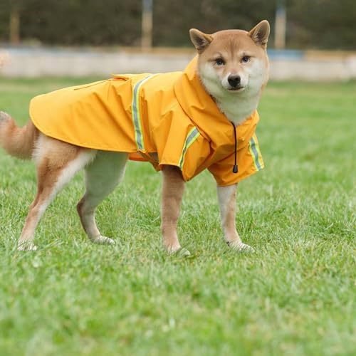 Amexo Hunderegenmantel mit Reflektierenden Streifen Wasserdichter Hundemantel mit Kapuze Verstellbare Regenjacke mit Kragenloch für Kleine Mittelgroße und Große Hunde (M)