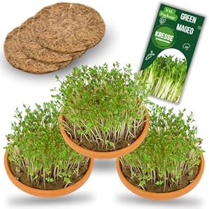 Green MaGeo GMKREANZ Kresse Anzuchtset 3er