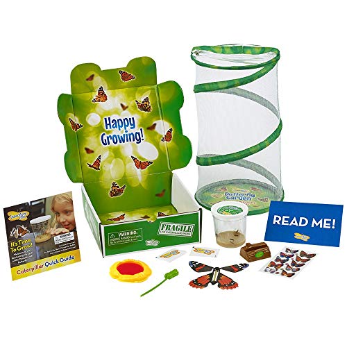 Insect Lore Deluxe Butterfly Garden Gift Set with Live Cup of Caterpillars Habitat