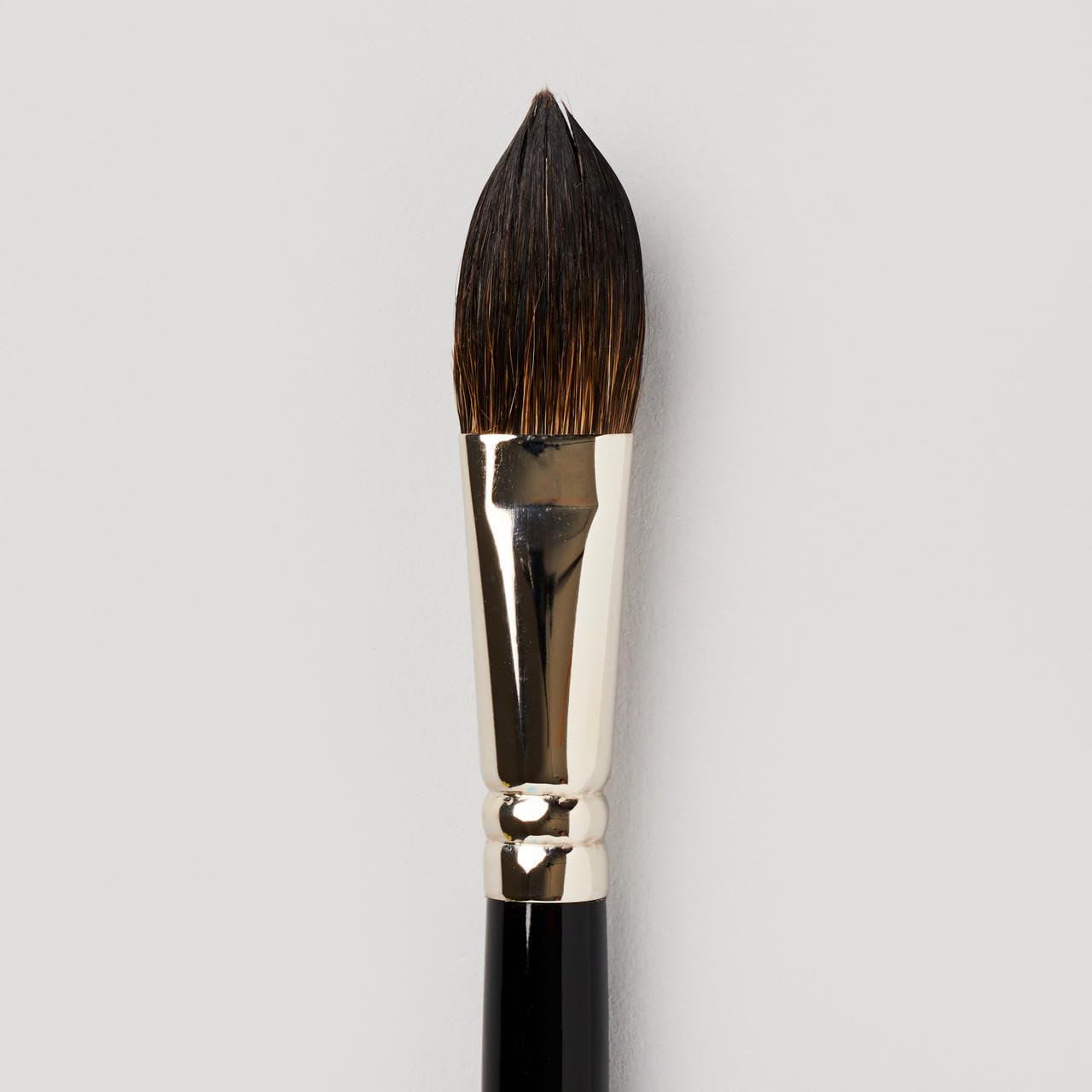 Pro Arte : Artists Wash Watercolour Brush : Series 50 Size Large