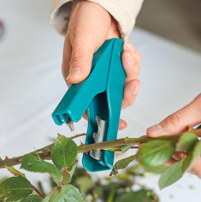 Herramienta quitador de espinas para rosas 14cm miniatura 3
