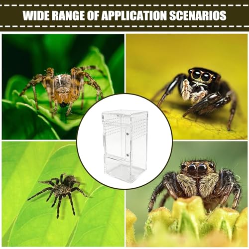Terrarium reptile à ventilation optimale avec trou d'aération intégré