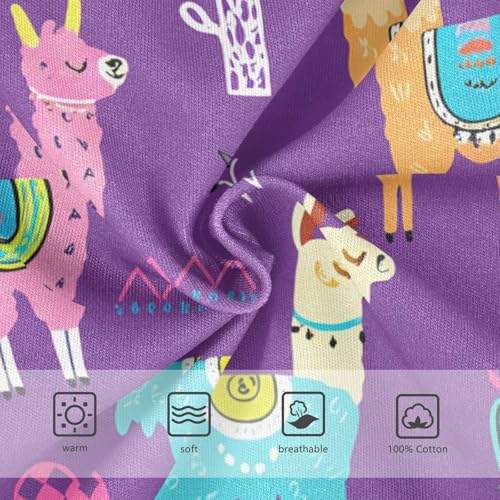 Colorful Llamas Cacti Purple Toddler Boy's Underwear 2T 202c12233