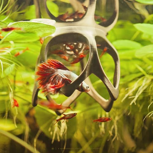 Image of Betta Play Ground | Floating Hammock and Hiding Cave for Betta, Fish, Shrimp with Feeding Station - Swim-Through Aquarium Ornament and Tank Decoration (Bronze, Mini)