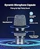LEKATO 2.4GHz Wireless Microphones,Metal Singing Microphone,Rechargeable Dual Handheld Cordless Mic Up to 30 Hours Runtime,Karaoke Mic Set for Singing,Speech,Church,Party,Home KTV,DJ,Wedding (Silver) #4