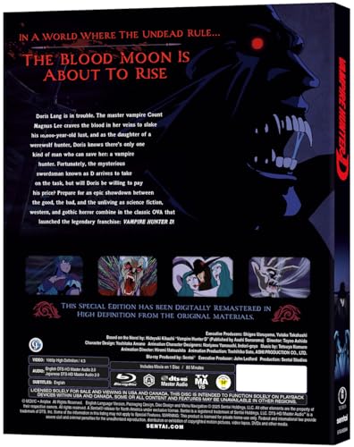 Image of Vampire Hunter D