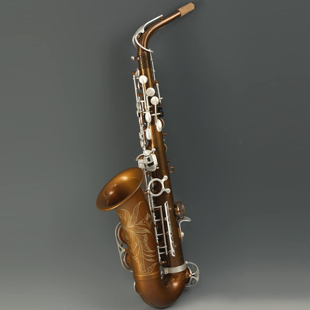 Rollins Saxophone alto RSA-X8,E flat Selmer 54-Key,Matière laiton,cuivre nu