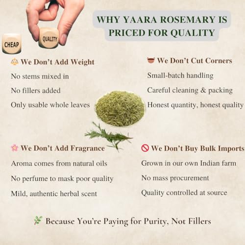 Image of YAARA Premium Rosemary Leaves Organic, Dried Rosemary Leaves for Hair Growth, Seasoning, Cooking, Herbal Tea, Hair Oil, Reduce Hair Fall (50Gram)