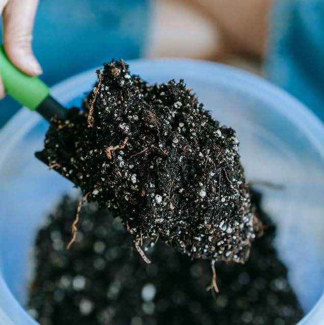 Perlite 125L Garten-Perlit für Pflanzen zur Bodenverbesserung Bauwesen Substrat ideal für Garten und Zimmerpflanzen