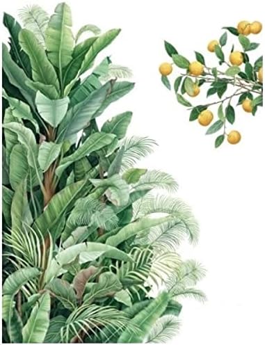 Amazon Co Jp ウォールステッカー 植物 おしゃれ 花 木 リーフ カフェ モダン モンステラ 北欧 ステッカー 緑 自然 ジャングル 森林 森 シール インテリア 雑貨 壁紙 オレンジ 果物 華やか 庭園 ナチュラル 2枚 熱帯 雨林 シンプル 癒し 森風 Amazon Co Jp ウォールステッカー 植物 おしゃれ 花 木 リーフ カフェ モダン モンステラ 北欧 ステッカー 緑 自然 ジャングル 森林 森 シール インテリア 雑貨 壁紙 オレンジ 果物 華やか 庭園 ナチュラル 2枚 熱帯 雨林 シンプル 癒し 森風