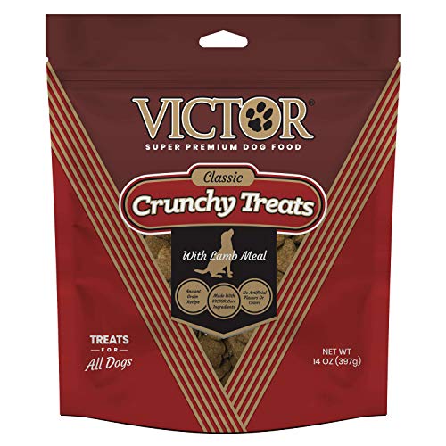 Top 10 Best Victor Brand Dog Foods A Guide to Premium Kibble for Your