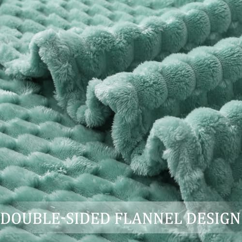 Image of Exclusivo Mezcla Twin Size Fleece Blanket for Bed, 90x66 Inches Stylish Jacquard Velvet Soft Blanket, Fuzzy Cozy Lightweight for Winter, Celadon
