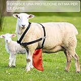 Zoom IMG-1 gonna anti accoppiamento per capre Zoom IMG-1 gonna anti accoppiamento per capre