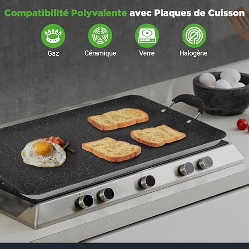 Plaque de cuisson double brûleur à répartition de chaleur uniforme