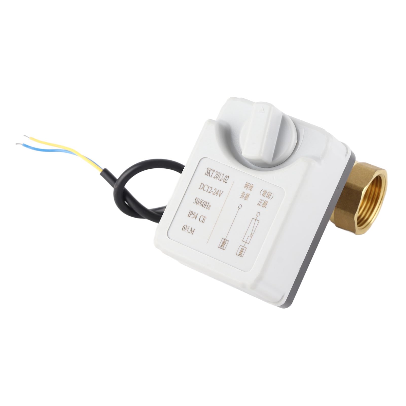 Valvola a sfera motorizzata in ottone 2 vie normalmente chiusa 12V 24V DC Smart Water Valve per impianti idraulici industriali Costruzione ABS DN25
