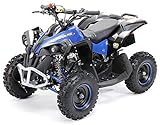 ✔ Original Actionbikes Motors ✔ 2 Takt 49cc 2 kW Benzinmotor ✔ 5 - 35 Km/h ✔ Automatisches Getriebe