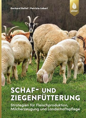 Schaf- und Ziegenfütterung: Strategien für Landschaftspflege, Fleisch- und Milcherzeugung