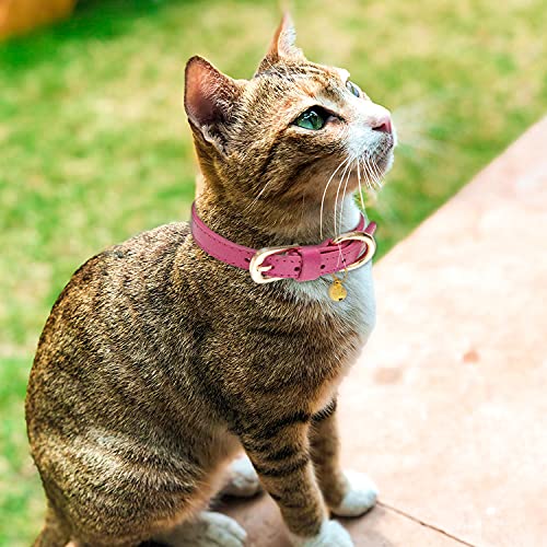 Flystar Cat Collar With Bell, Adsjutable Soft Leather Cat Collars, Cute Identification Basic Collar Set For Cat Puppy Kitten, Purple Blue Pink #TOP6