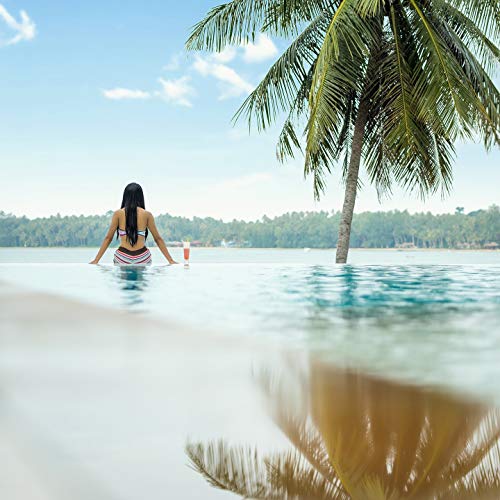 Caribbean Music Instrumental