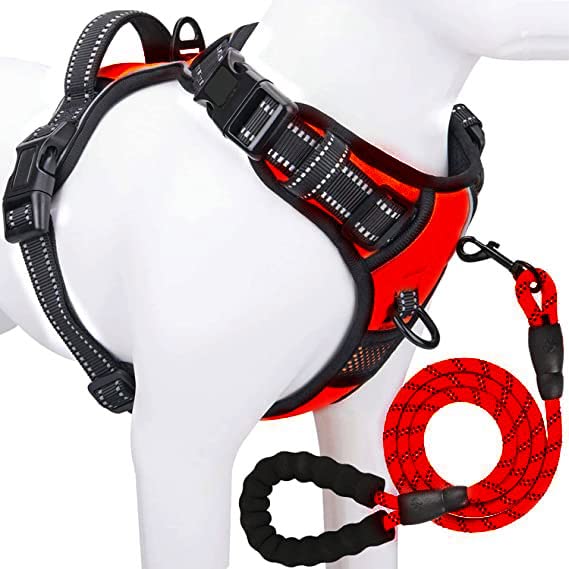 Dog Harness & Leash Dog Belt- No Pull Dog Harness with 3M Reflective Oxford Fabric Vest - Easy Control Dogs - Includes Heavy Duty 5ft Dog Leash - Friendly Design by Neomart (Large, RED) (B0C3VSK8B4) Amazon Price History, Amazon Price Tracker