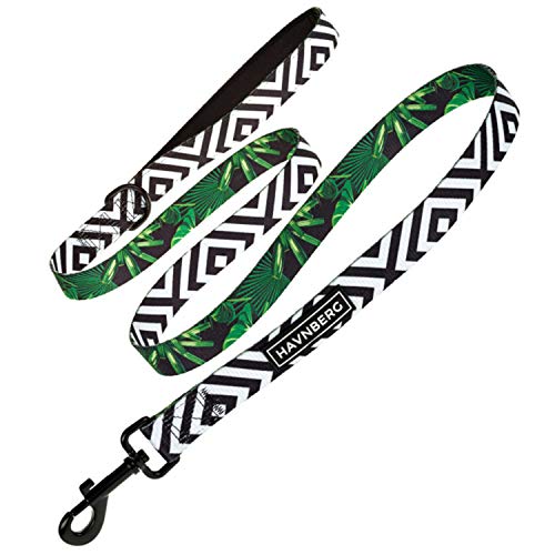HAVNBERG Perros Cuerda Corta, Cuerda, Ocio, Cuerda, Ciudad Cuerda, Arrastre Cuerda Cuerda para Perros, con mosquetón y Top Diseño, Longitud 153 cm Cover