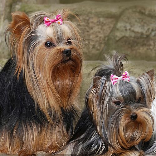 Symphonyw Dog Hair Bows, 28 Pcs Daisy Flower Dog Hair Bows with Elastic Rubber Bands - Image 4