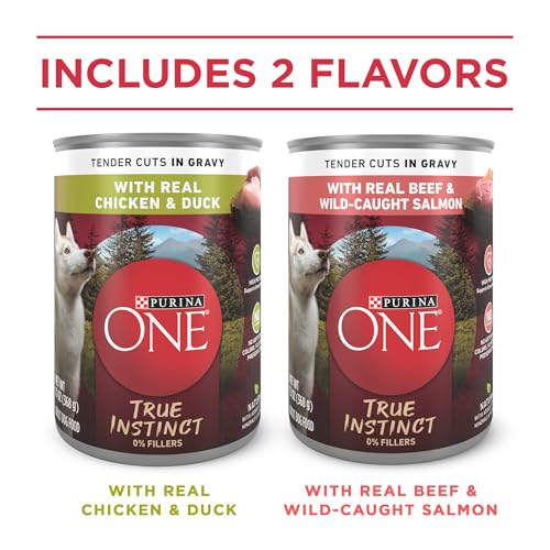 Image of Purina ONE True Instinct Tender Cuts in Gravy with Real Chicken and Duck, with Real Beef and Salmon High Protein Wet Dog Food Variety Pack - (Pack of 1) 13 oz. Cans