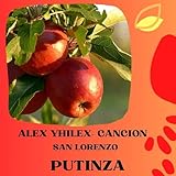 Alex Yhilex