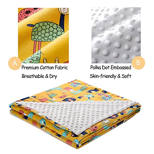 Hixingo Copertina Neonato in Cotone Estiva Minky