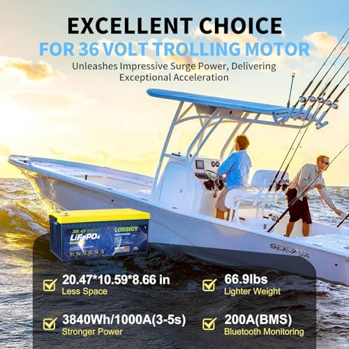 Image of LOSSIGY 36V Golf Cart Lithium Battery Conversion Kit, Built in 200A Smart BMS, Peak Current 1000A(3-5s), Perfect for Passenger Car, Trolling Motor