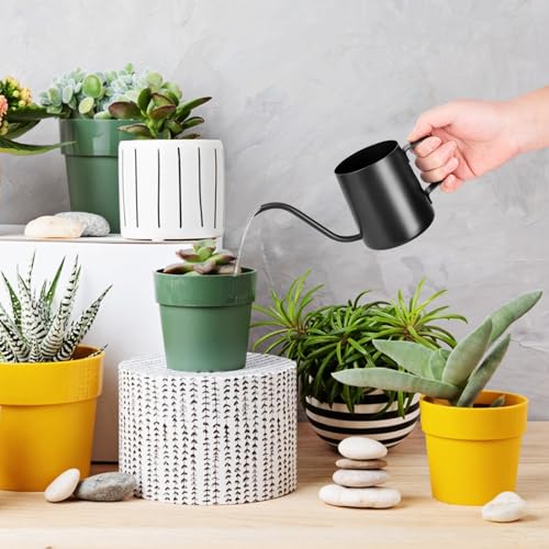 XTDMJ 350 ml Black Watering Can With Long Stainless Steel Spout for Small Indoor Plants Succulents, and Garden Use - Image 2