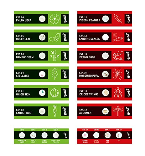 Science Lames Pour Microscope - vue 5