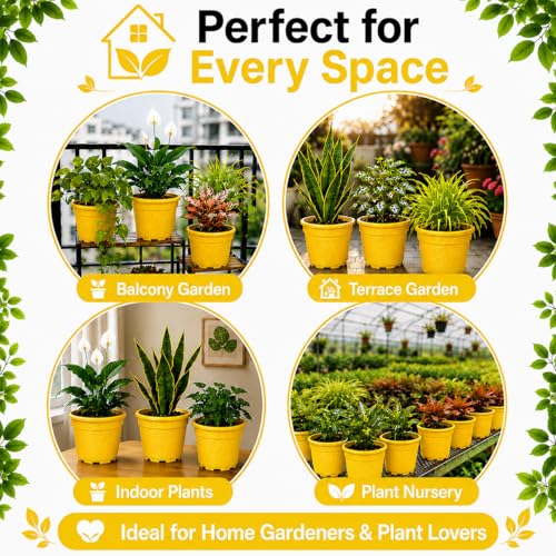 Image of Indian Gardens - 4 inch Indoor (Pack of 10) Plastic Small Colour pots | Plastic Plant Pot for Terrace Garden (Yellow)