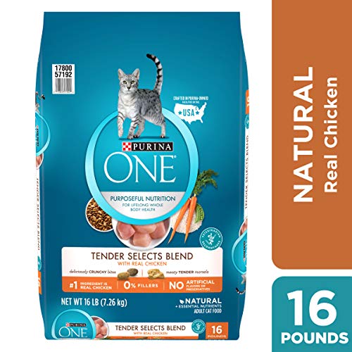 Purina ONE Natural Dry Cat Food, Tender Selects Blend With Real Chicken