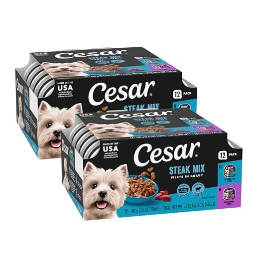 Cesar Filets in Gravy Adult Wet Dog Food Variety Pack, Filet Mignon and New York Strip Flavors, 3.5 oz. Easy Peel Dog Food Tray, 12 Count (Pack of 1)