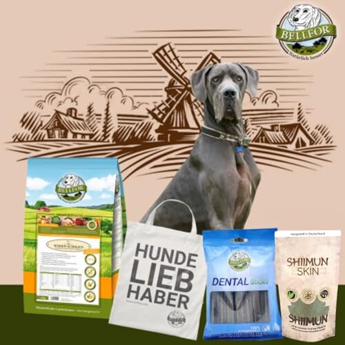 Bellfor Futterset für Deutsche Doggen – Getreidefreies Trockenfutter mit Huhn 4 kg, Dental Sticks 100 g & Ergänzungsfuttermittel Shiimun Skin Pulver 50 g