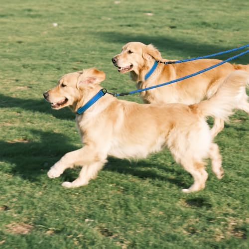 Taglory Doppelte Leinen/Hundeleine Doppelleine für 2 Hunde/Keine Verwicklung Reflektierend Kletterseil/Verstellbar Splitterleinen/75cm, BLAU