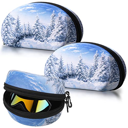 Top 10 Ski Goggle Cases for Ultimate Protection