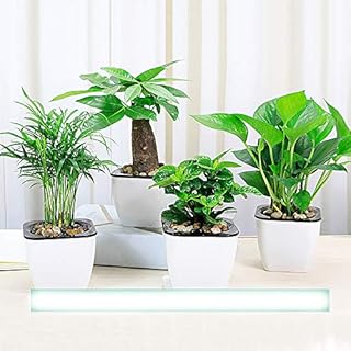 Self Watering Planter African Violet Pots Flower Plant Pot with Wick Rope Indoor for Succulent , Flowers, Herbs,All House Plants(White) (Square S)