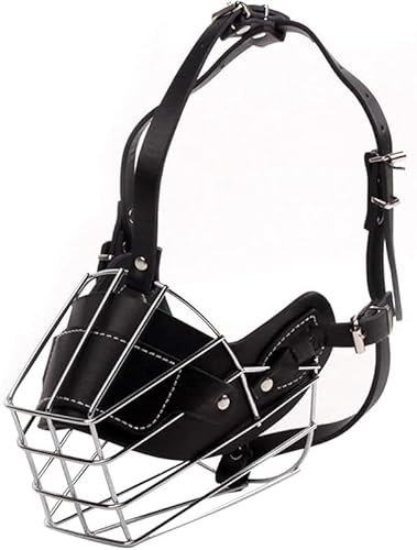 KryZaroyBEXL TCYzp}Y p ߉\ S ݂ELYr߁Eނih~ }YJo[/K[h ^Ή